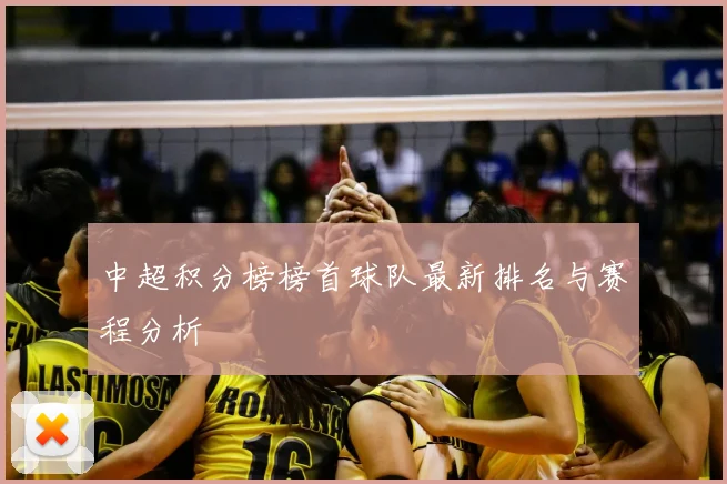 中超积分榜榜首球队最新排名与赛程分析